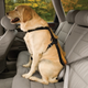 Do you have a dog? Do you have a car? Then you should have a car harness! Seriously.